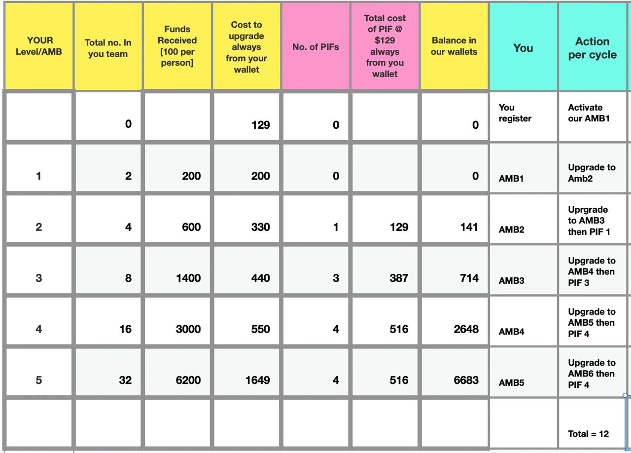 Shining Stars membership levels, fund progression, upgrade costs and PIF commitments table